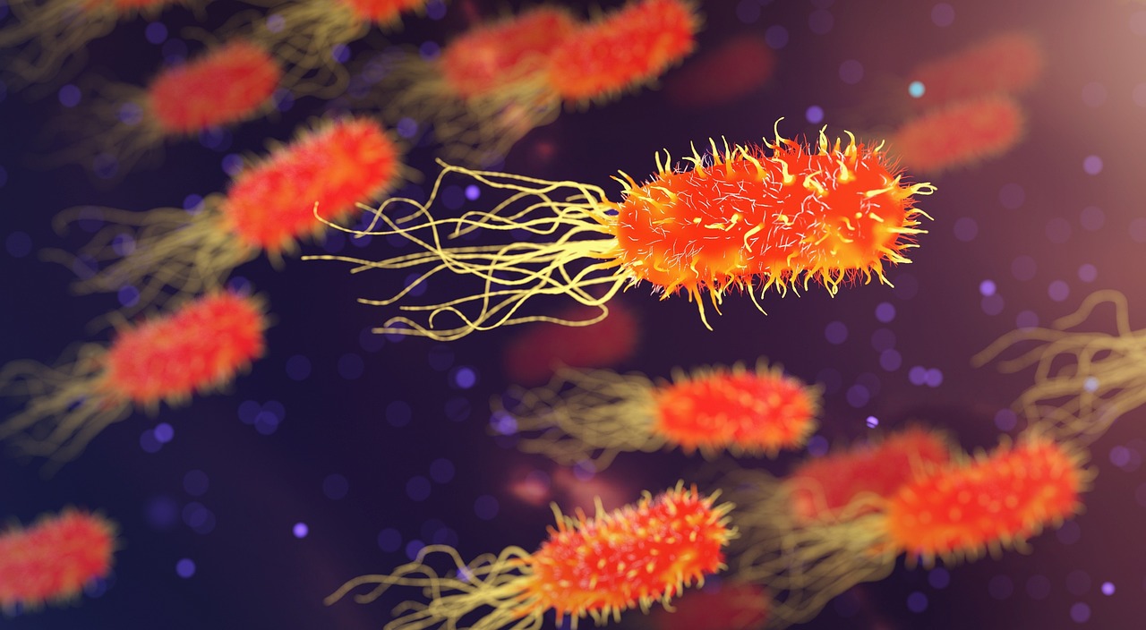 Waterborne Disease Risks: How HJC 3G RO Keeps Your Family Safe
