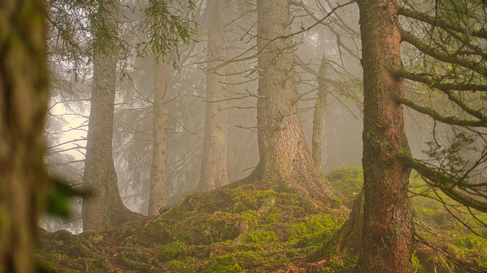 When Nature's Barrier Fails: The Global Warning Within Niger’s Water Crisis