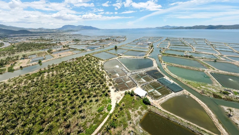 Short-Term Livelihood Choices May Be Intensifying the Global Salinity Crisis