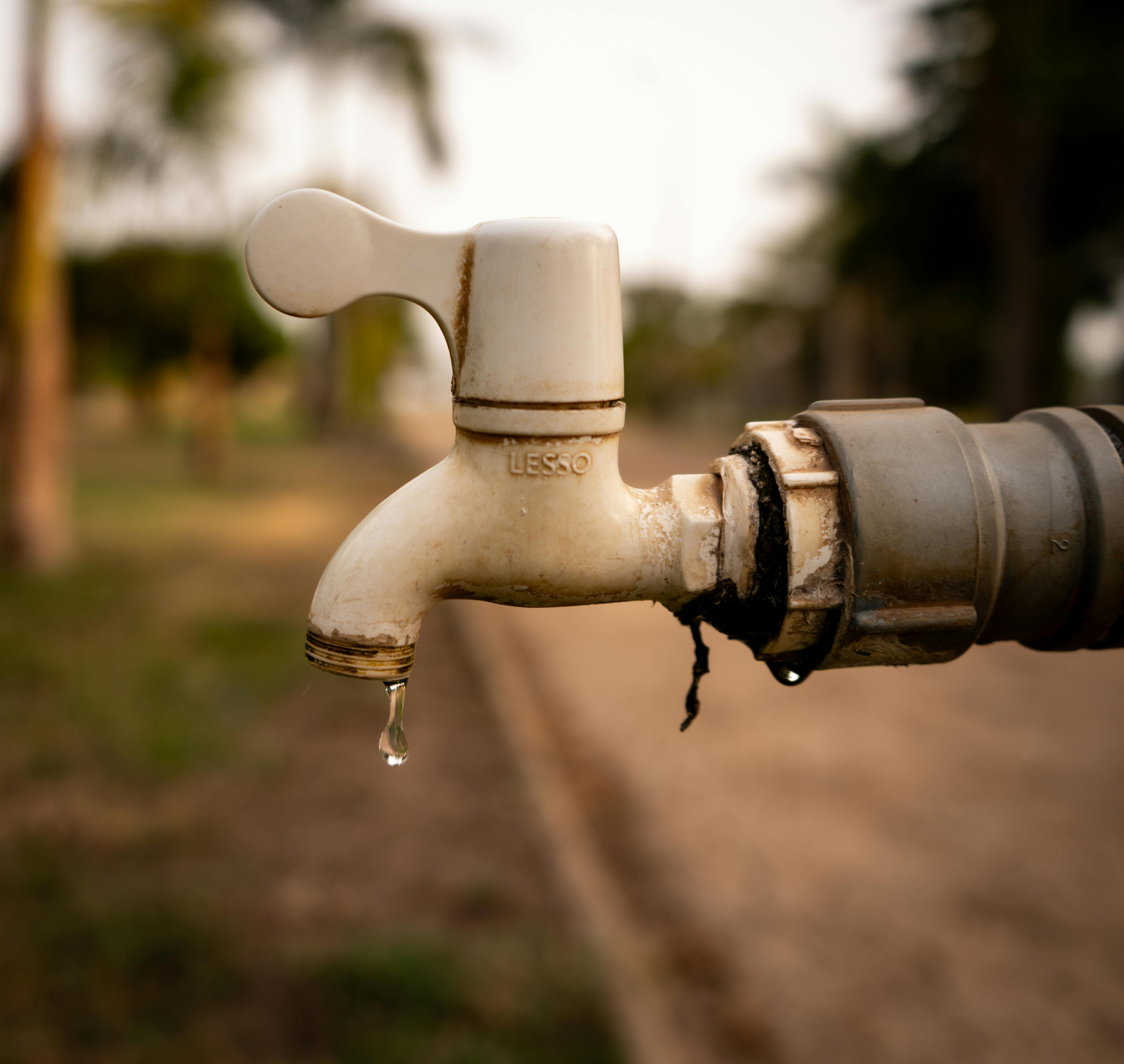 pexels-sudarson-alwin-2221396-36787115.jpg pexels-sudarson-alwin-2221396-36787115.jpg