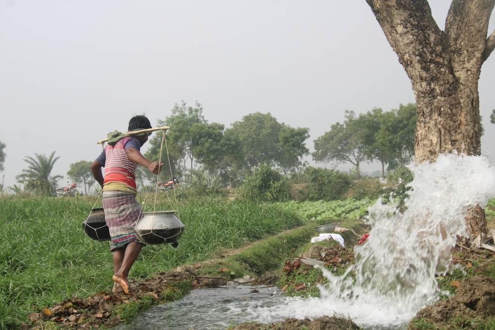 pexels-tanin-ahmed-98051413-31947913.jpg pexels-tanin-ahmed-98051413-31947913.jpg